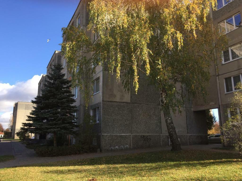 Apartamentai Dainu 希奥利艾 外观 照片